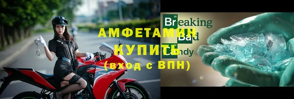 прущие грибы Карпинск