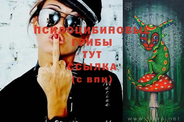 PSILOCYBIN Каменногорск