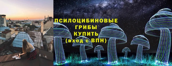 метадон Каменка