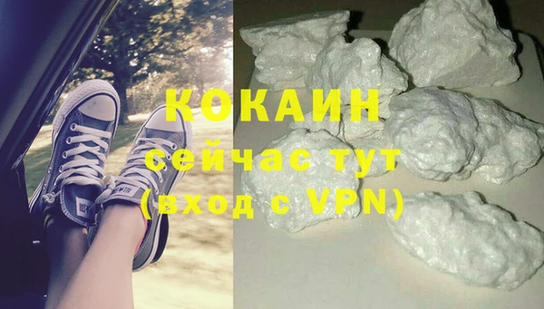 прущие грибы Карпинск