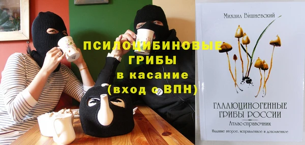 метадон Каменка