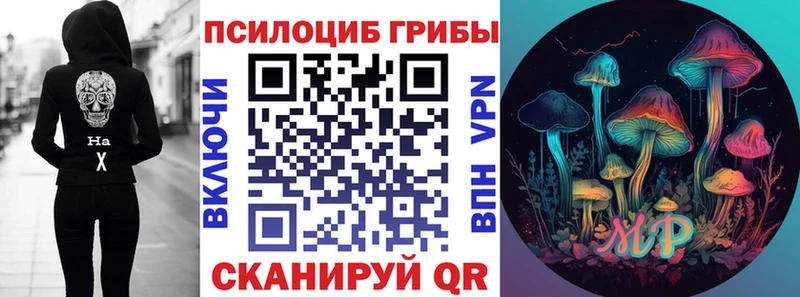 Купить где Гатчина Псилоцибиновые грибы Magic Shrooms